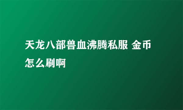 天龙八部兽血沸腾私服 金币怎么刷啊