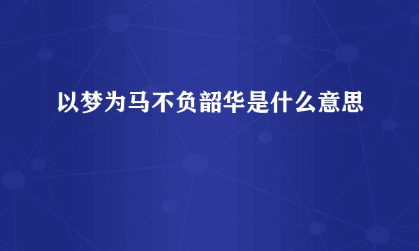 以梦为马不负韶华是什么意思