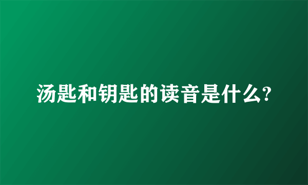 汤匙和钥匙的读音是什么?