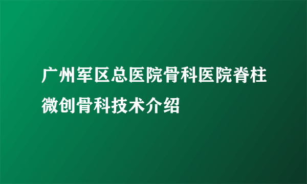 广州军区总医院骨科医院脊柱微创骨科技术介绍