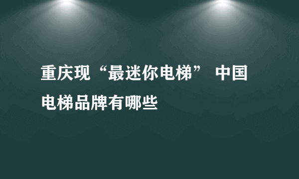 重庆现“最迷你电梯” 中国电梯品牌有哪些