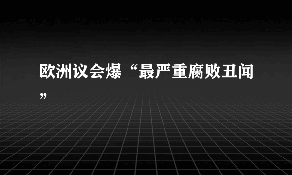 欧洲议会爆“最严重腐败丑闻”