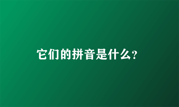 它们的拼音是什么？