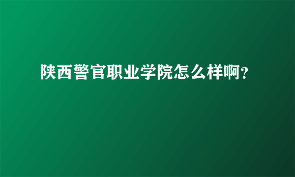 陕西警官职业学院怎么样啊？