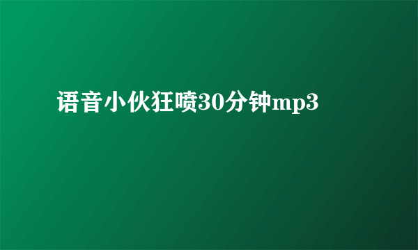 语音小伙狂喷30分钟mp3