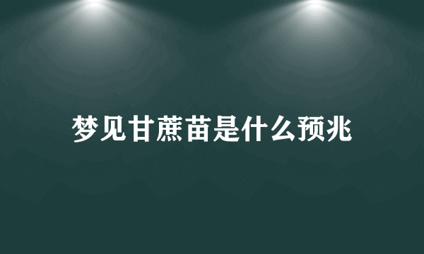 梦见甘蔗苗是什么预兆