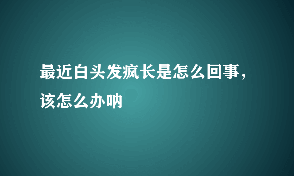 最近白头发疯长是怎么回事，该怎么办呐