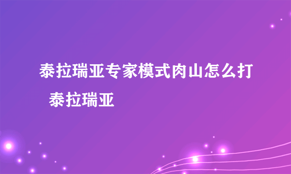 泰拉瑞亚专家模式肉山怎么打  泰拉瑞亚