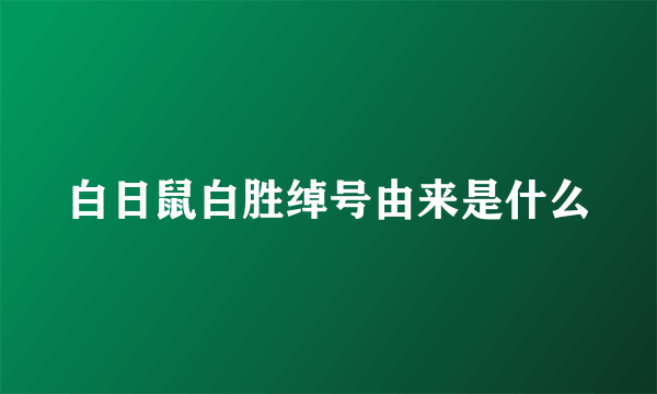 白日鼠白胜绰号由来是什么