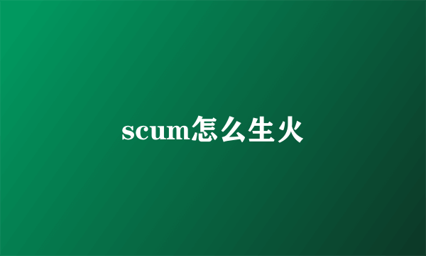 scum怎么生火