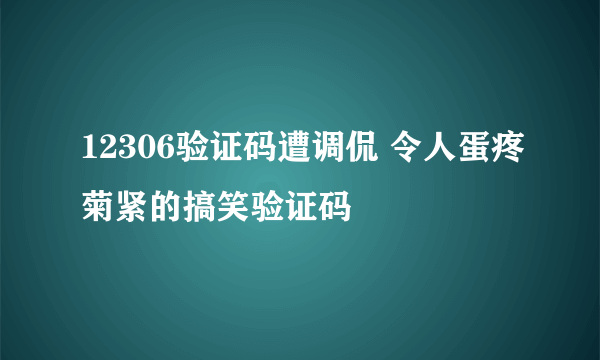 12306验证码遭调侃 令人蛋疼菊紧的搞笑验证码