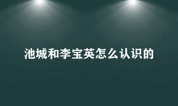 池城和李宝英怎么认识的