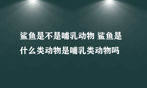 鲨鱼是不是哺乳动物 鲨鱼是什么类动物是哺乳类动物吗