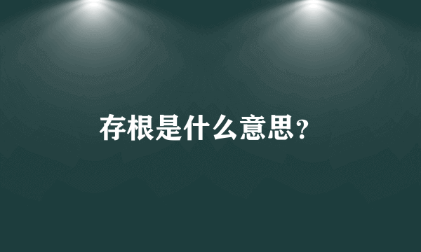 存根是什么意思？