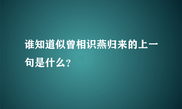 谁知道似曾相识燕归来的上一句是什么？