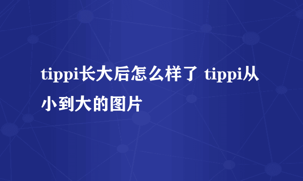 tippi长大后怎么样了 tippi从小到大的图片