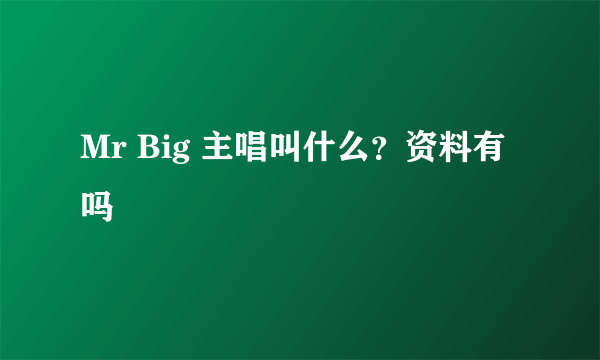 Mr Big 主唱叫什么？资料有吗