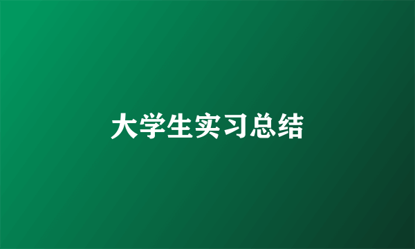 大学生实习总结