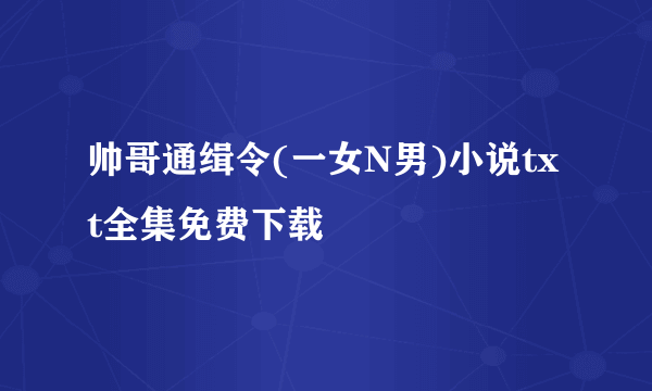 帅哥通缉令(一女N男)小说txt全集免费下载