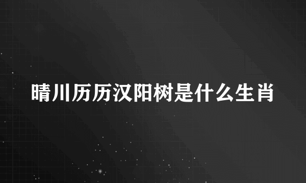 晴川历历汉阳树是什么生肖