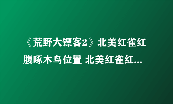 《荒野大镖客2》北美红雀红腹啄木鸟位置 北美红雀红腹啄木鸟猎杀位置