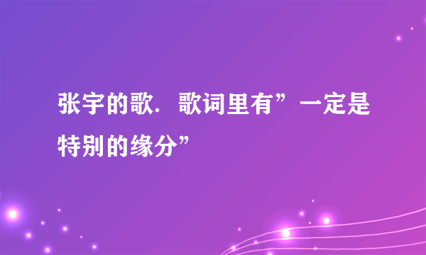 张宇的歌．歌词里有”一定是特别的缘分”