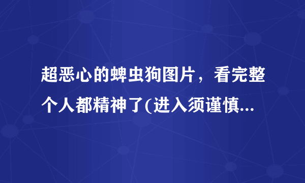 超恶心的蜱虫狗图片，看完整个人都精神了(进入须谨慎)-飞外网