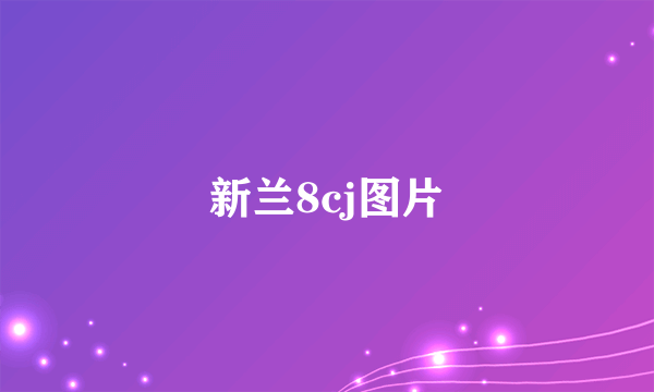 新兰8cj图片