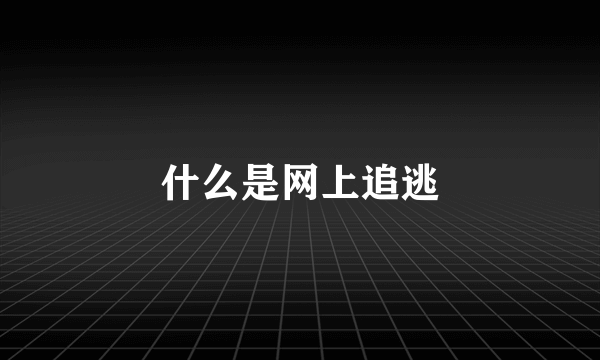 什么是网上追逃