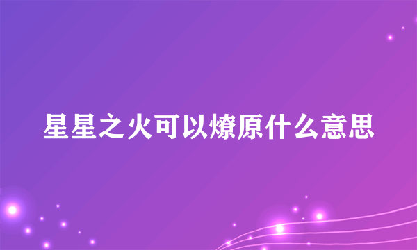 星星之火可以燎原什么意思