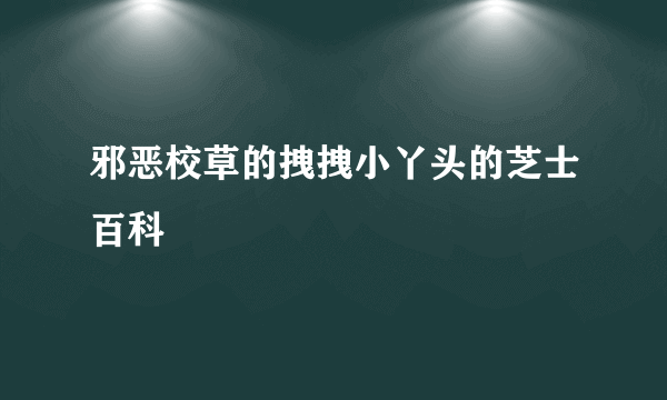 邪恶校草的拽拽小丫头的芝士百科