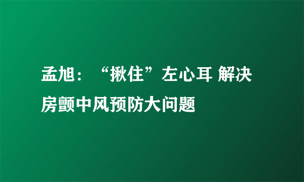 孟旭：“揪住”左心耳 解决房颤中风预防大问题