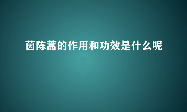 茵陈蒿的作用和功效是什么呢