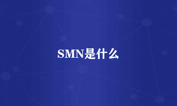 SMN是什么