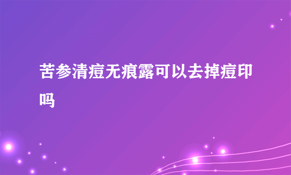 苦参清痘无痕露可以去掉痘印吗