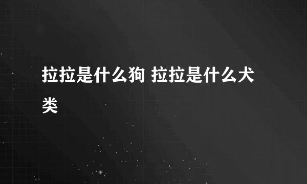 拉拉是什么狗 拉拉是什么犬类