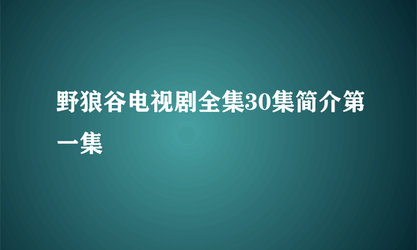 野狼谷电视剧全集30集简介第一集