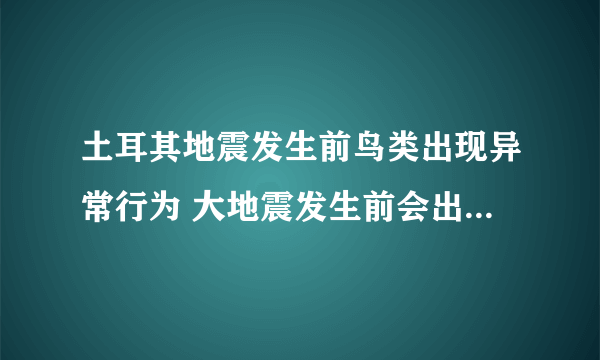 土耳其地震发生前鸟类出现异常行为 大地震发生前会出现哪些前兆