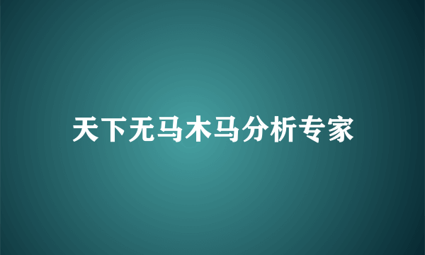 天下无马木马分析专家