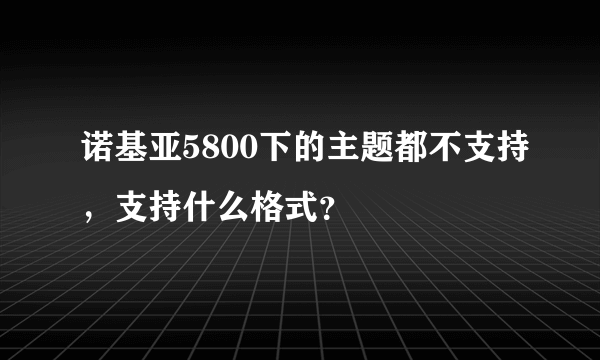 诺基亚5800下的主题都不支持，支持什么格式？