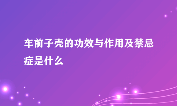 车前子壳的功效与作用及禁忌症是什么