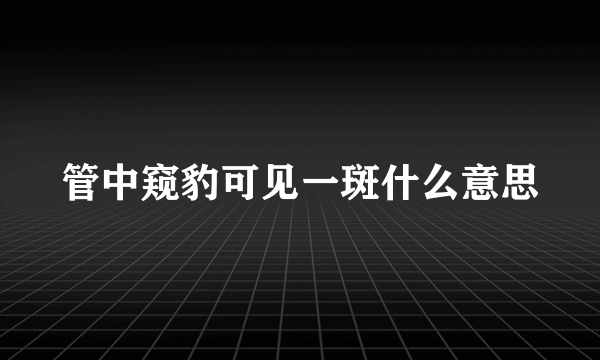 管中窥豹可见一斑什么意思