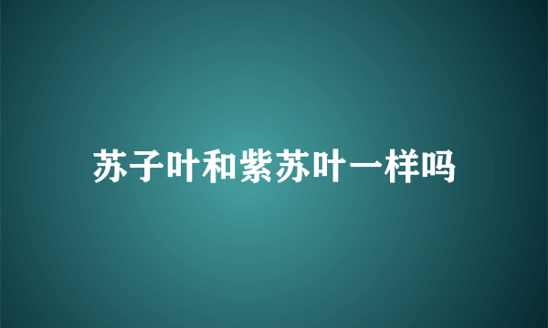 苏子叶和紫苏叶一样吗