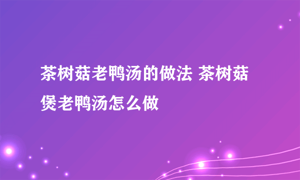 茶树菇老鸭汤的做法 茶树菇煲老鸭汤怎么做