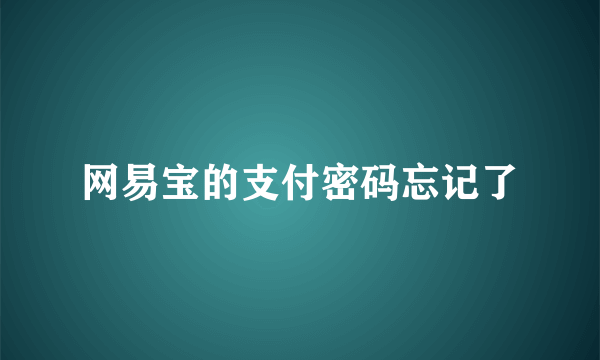 网易宝的支付密码忘记了