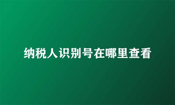 纳税人识别号在哪里查看