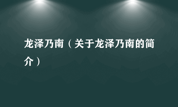 龙泽乃南（关于龙泽乃南的简介）