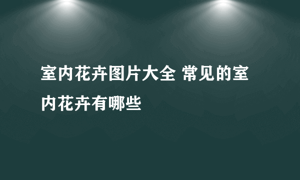 室内花卉图片大全 常见的室内花卉有哪些