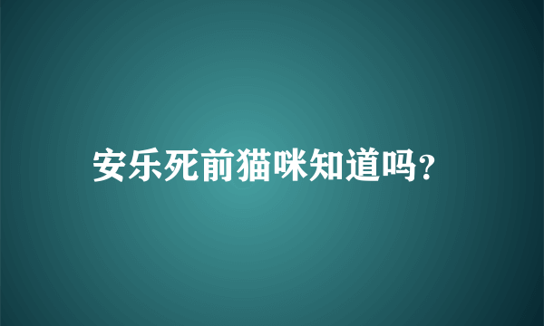 安乐死前猫咪知道吗？