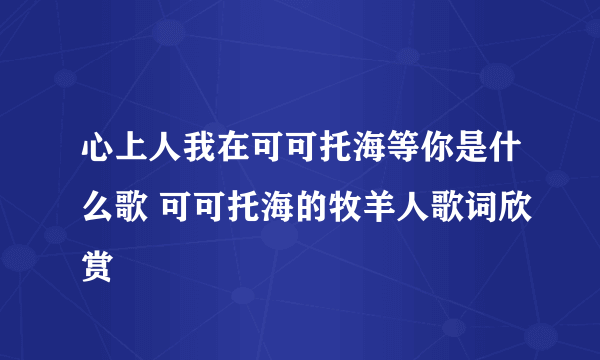 心上人我在可可托海等你是什么歌 可可托海的牧羊人歌词欣赏